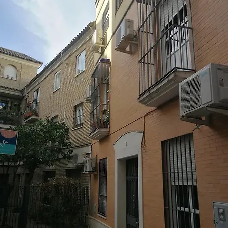 Apartment Alfalfa